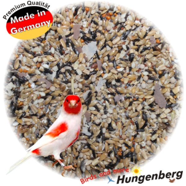 Hungenberg - Positur & Farbe JUNIOR MOSAIC - Μείγμα απογαλακτισμού καναρινιών (Ειδικό για μωσαϊκά) - 20kg